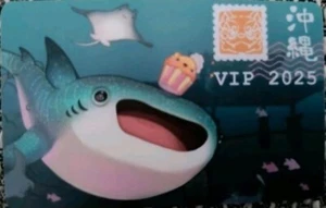 Dokomi Vip Ticket 2025 - Bild 1 von 1