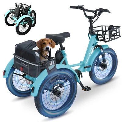 Triciclo Eléctrico Mooncool 20" Plegable Neumático Graso 500W con Bolsa Trasera y Batería 48V Foto 1 de 4