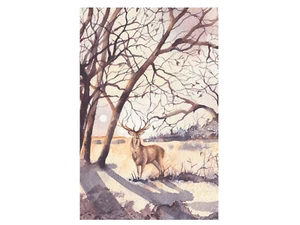 Geschirrtuch Küchentuch Trockentuch "Woodland Stag" Hirsch Jagd  Roy Kirkham - Bild 1 von 2