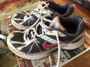 Las mejores ofertas en Zapatillas Deportivas Gris Nike Dart para Mujeres |  eBay