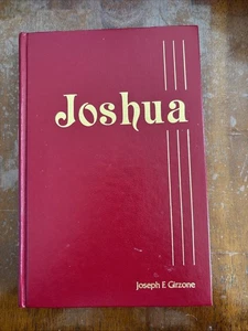 Joshua signiert HC von Girzone, Joseph F. - SEHR GUT ohne Schutzumschlag 1. Auflage - Bild 1 von 4