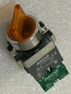 MCG MB2BK125 MB2BW06 MB2-BE-101 120V LAMPADINA AMBRA SELETTORE ILLUMINATO 2 POS MAINT - Foto 1 di 4