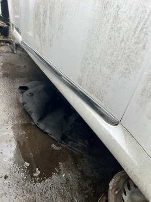 Hyundai Equus 2011-2016 conductor izquierdo puerta delantera y trasera moldura inferior 2 piezas Foto 1 de 4