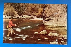 Baltimore MD THOMAS COFIELD Sporting Goods postcard 4618 York Rd advertising - Picture 1 of 2