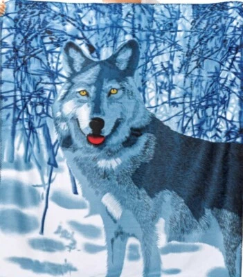 Hermoso tiro polar de lobo encantador Foto 1 de 3