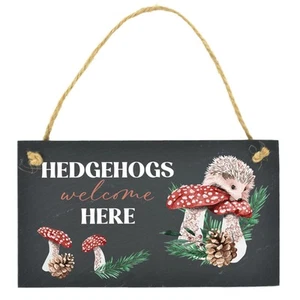 Hedgehogs Welcome Here Hedgehog Charming Homeware Slate Rectangle Plaque - Picture 1 of 1