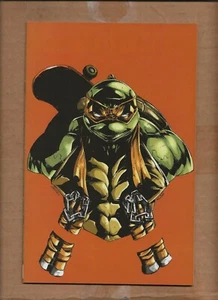 TORTUGAS NINJA MUTANTES ADOLESCENTES #2 VARIANTE ESPACIAL NEGATIVA VIRGEN ESQUIVO - Imagen 1 de 2