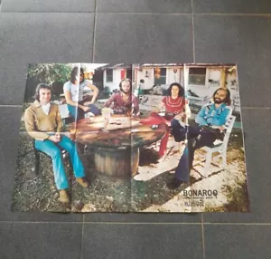 Póster de revista Bonaroo Band - Imagen 1 de 3