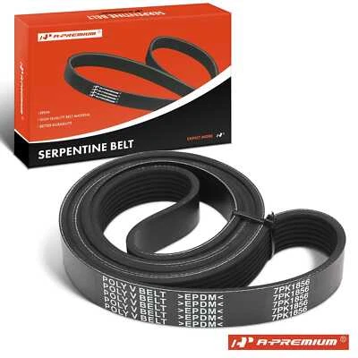 Cinturón serpentino A-Premium 73,09" para BMW 335i 2007-2010 335i xDrive 335is 335xi Foto 1 de 4