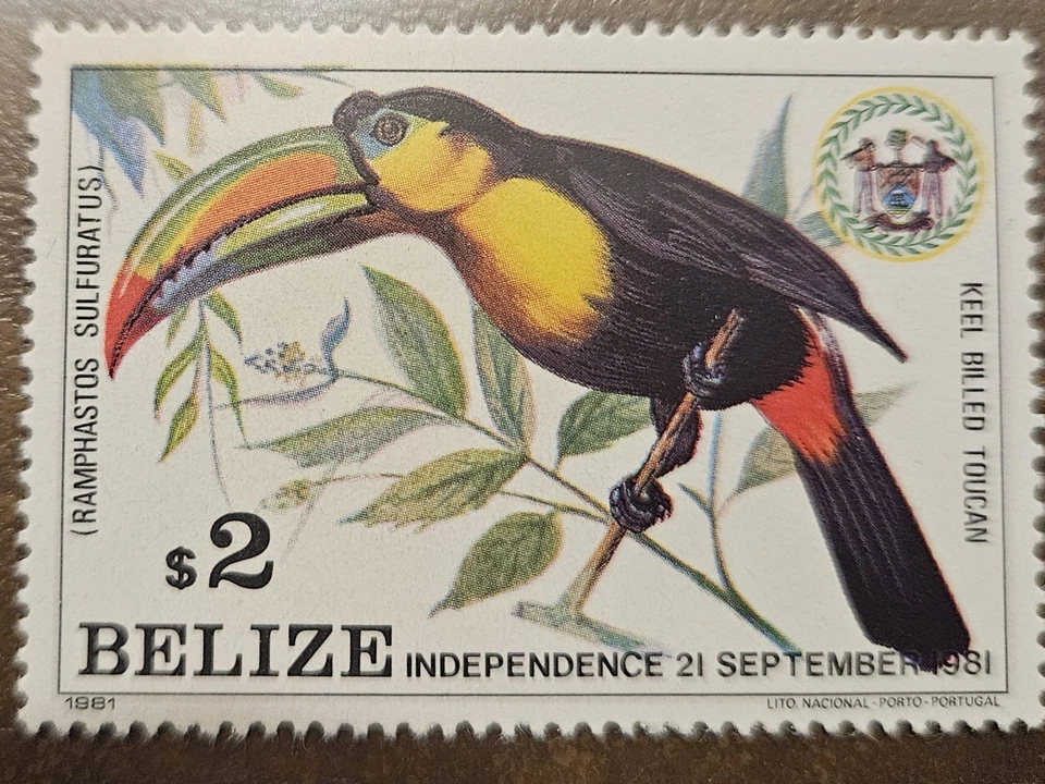 Tucán Belice 1981 (Scott 599; SG 662) MNH Foto 1 de 1