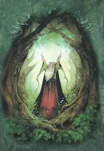 NOS Vintage Wizard in the Forest Green T-Shirt Sz M Medium 2000 Meiklejohn RARE - Picture 1 of 9