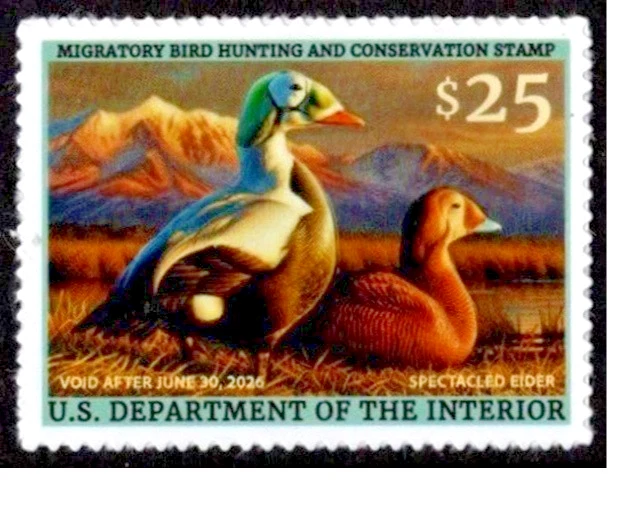 Mac's #RW92 2025 - US Federal Duck Stamp Mint OGNH FREE MOUNT - Image 1 of 1