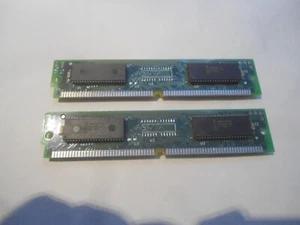 LOTTO 2 MODULI EDO RAM  8 MB  60NS - 72 PIN - Foto 1 di 4