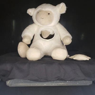 Espejo de felpa de desarrollo de cordero para niños Pottery Barn Foto 1 de 4