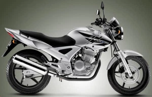 MANUAL DE TALLER O REPARACIÓN HONDA CBX 250 WORKSHOP SERVICE EN DVD - Imagen 1 de 1