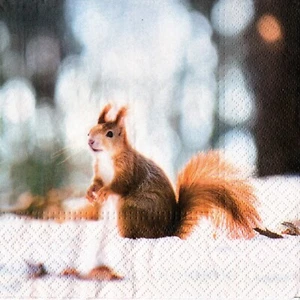 SERVIETTES EN PAPIER ECUREUIL HIVER NEIGE. PAPER NAPINS SQUIRREL WINTER SNOW - Picture 1 of 1
