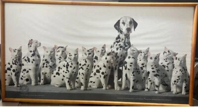 Cats Or Dog Flickr | edu.svet.gob.gt Size 33”x20” - Image 1 of 2