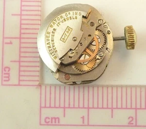 Wittnauer 6-7AG Ladies 17 Jewel Automatic Wrist Watch Movement -  Parts / Repair - Picture 1 of 8