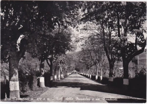 SOCI - BIBBIENA - AREZZO - VIALE DELLA MAUSOLEA E DEI MANDRIOLI - VIAGG. -82372- - Picture 1 of 1