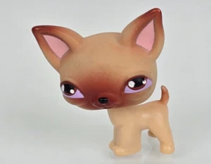 Littlest Pet Shop LPS Chihuahua #1 hellbraun creme braune Augen Hund Welpe authentisch SELTEN - Bild 1 von 5