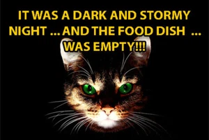 Divertido letrero de metal para gato 12x8 Dark Storm plato de comida nocturno vacío horror miedo malo - Imagen 1 de 5