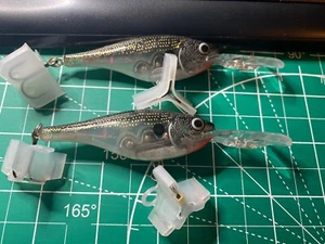 RAPALA SHAD RAP LOT - Picture 1 of 2