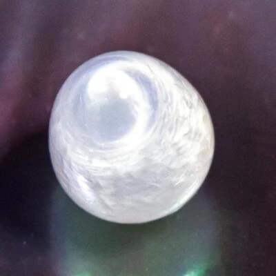 1.75 cts Genuine Natural Wild Tridacna Clam Pearl 7.74 mm Extremely Rare 0.35 g - Image 1 of 4