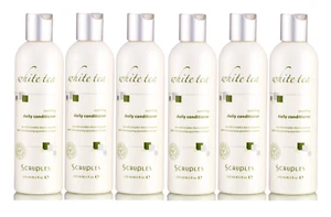 Scruples White Tea Daily Conditioner -Provides Thermal Protect 8.5 Oz - Set of 6 - Picture 1 of 5