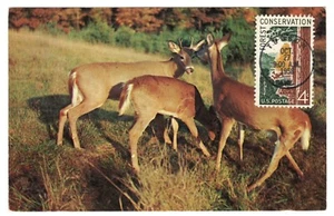 #1122 Forest Conservation 1958 FDC - Serviced Postcard - Picture 1 of 2