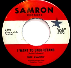 THEE AVANTIS MOD RARE PA GARAGE I WANT TO UNDERSTAND/NANCY SAMRON - Picture 1 of 2