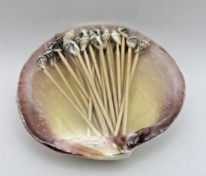 Natural Clam Shell with 24 Real Seashell tip Toothpicks / Party picks - NEW - Picture 1 of 3