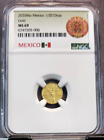 2020 MEXICO 1/20 ONZA GOLD LIBERTAD NGC MS 69 ONLY 700 MINTED EXTREMELY RARE