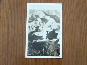 Arizona AZ RPPC echtes Foto - Bild 1 von 2