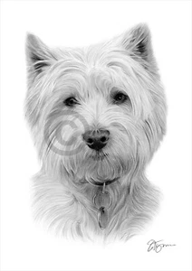 WEST HIGHLAND WHITE TERRIER art pencil drawing print Westie dog portrait - Picture 1 of 1