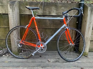 Basso Ascot 60cm - Picture 1 of 15