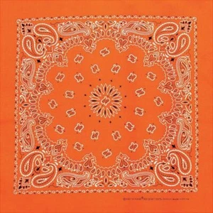 Carolina Creative Bandanna (Neon Orange) Paisley Print 22" x 22"  - Picture 1 of 1