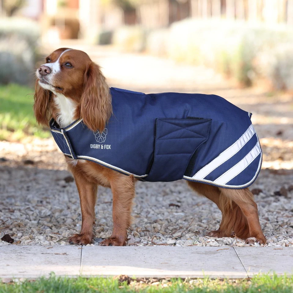 DIGBY & FOX Shires Digby and Fox Lite Waterproof Dog Coat - Navy