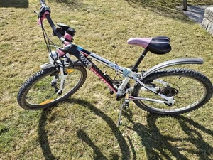 mädchenfahrrad 24 zoll gebraucht - Bild 1 von 5