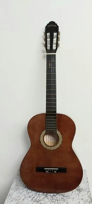 Akustik Gitarre C. Giant - Top Zustand  - Bild 1 von 4