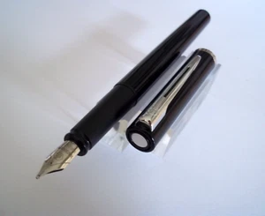 CAPTIVANT ET RAVISSANT STYLO PLUME WATERMAN APOSTROPHE M513 - Imagen 1 de 8