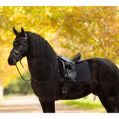 IT07762 LeMieux Essence Dressage Square English Saddle Pad - Black NEW - Image 1 of 2