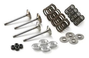 KTM Valve Kit (390 Duke 2013-2021) - 90236030010 - Picture 1 of 1