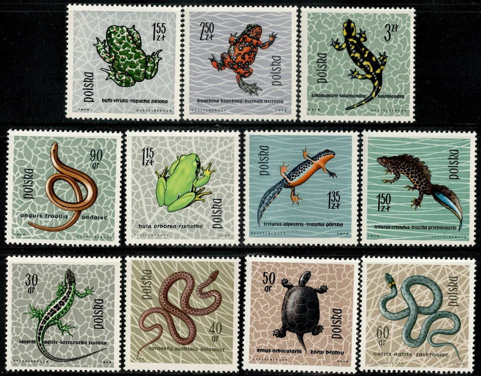 波兰 Sc#1134-1144 Mi#1393-1403 两栖动物和爬行动物,短套装 (1963) 全新无标签 — 第 1/1 张图片