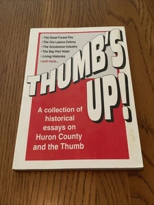 Daumen hoch Eine Sammlung historischer Essays über Huron County Michigan - selten - Bild 1 von 6