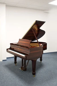 Steinway & Sons Flügel, M-170, Palisander - Baujahr 1916 - Bild 1 von 12