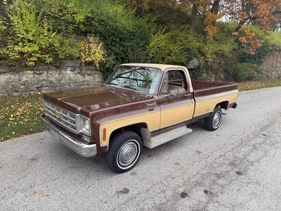 Chevrolet C10/K10 Bonanza 1977 4x4 Foto 1 de 4