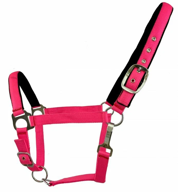 Halter de nailon forrado de neopreno fluorescente talla caballo azul - rosa - naranja - amarillo Foto 1 de 1