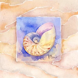 Ceramic Backsplash Tile Mural Sea Shell Themed - Summer Nautilus - Picture 1 of 12