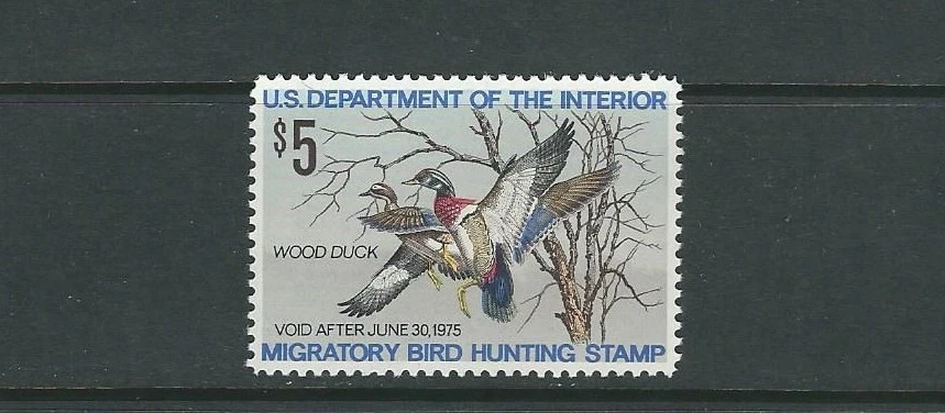 UNITED STATES 1974 DUCK STAMP WOOD DUCK VF MNH - Image 1 of 1