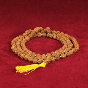 Semillas Mala Rudraksha 7,5 mm cuentas 108 Buda de Nepal budista regalo - Imagen 1 de 7